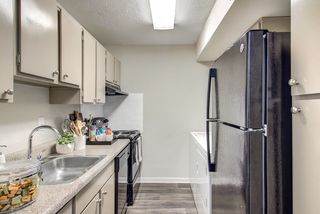 12811 Greenwood Forest Dr #1702, Houston, TX 77066