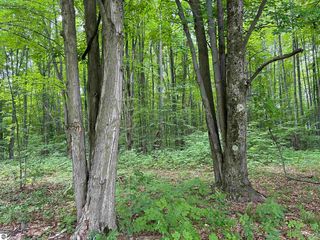 330 Thomas Rd SW, South Boardman, MI 49680