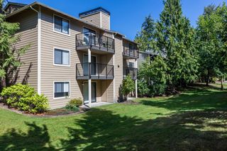 apartments for rent in sammamish wa 49 rentals trulia