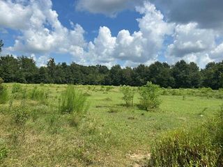 Cody Driskell Rd #6, Irvington, AL 36544