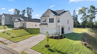 334 Friendship Oak Way, Hampton, GA 30228