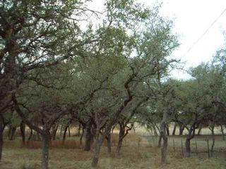 231 MULBERRY LANE LOT 72, Boerne, TX 78006