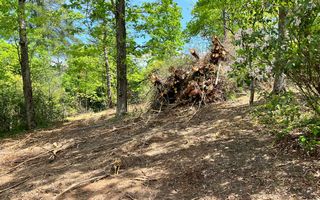 6103 Martin Heights Dr, Young Harris, GA 30582