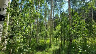 124 Summit Rd, Lake George, CO 80827