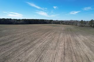 80.86 Acres-TBD Cedar Swamp Rd. #Central Rd, Kingstree, SC 29556