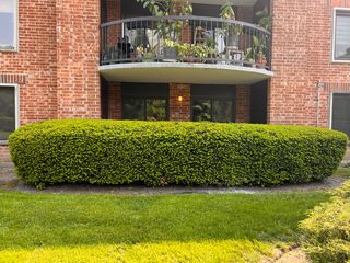 1515 E  Central Rd #162B, Arlington Heights, IL 60005