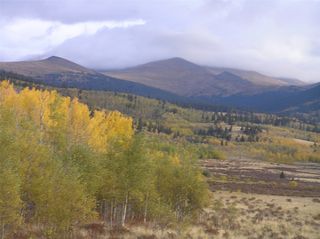 918 Little Baldy Circle, Fairplay, CO 80440