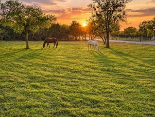 1019 Oak Bend Ln, Weatherford, TX 76088
