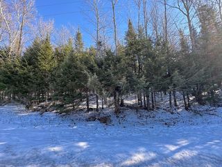 Lot 3 637 Mercer Lake Cir  N, Mercer, WI 54547