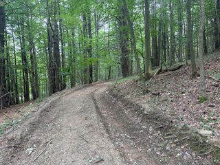 V/l Ringwood Rd #WP001, Freeville, NY 13068
