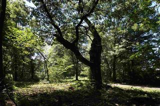 Lot 6803 Three Sunset Dr, Verona, WI 53593