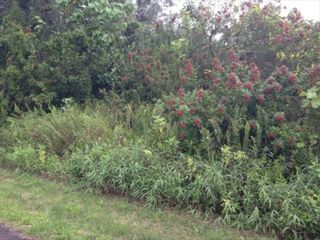 Kaiwa St #182, Pahoa, HI 96778