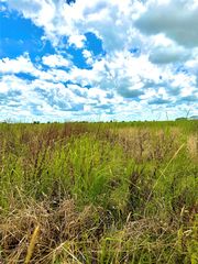 Tract 4 Beal Rd, Eagle Lake, TX 77434