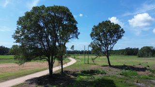 Azeeban Rd #4, Orangeburg, SC 29163