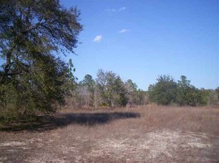 Xxxx McCall Bridge Rd, Quincy, FL 32351