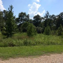 County Road 4109 Dove Ln #Dove Lane, Atlanta, TX 75551