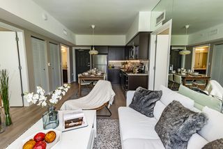Amelia Apartments Miami
