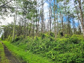 Pikake Rd #207, Pahoa, HI 96778
