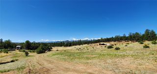 1976 O Path, Cotopaxi, CO 81223