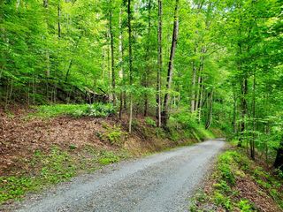 5800 Canada Rd, Tuckasegee, NC 28783
