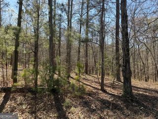 1430 Cleveland Farm Rd, Locust Grove, GA 30248