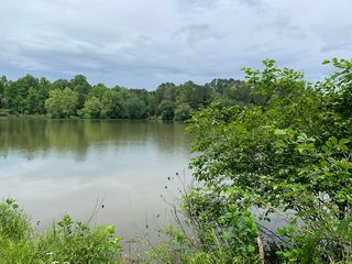 Dogwood Cove Dr, Spring City, TN 37381