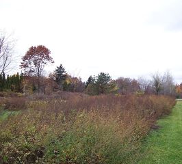 1573 Creek St, Rochester, NY 14625