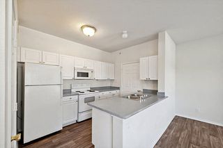 18950 Lina St #1117, Dallas, TX 75287