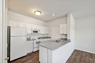 18950 Lina St #1217, Dallas, TX 75287