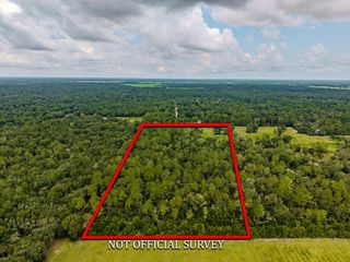  NE 580th St, Old Town, FL 32680