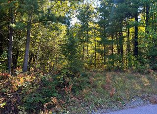 N  Tower Rd, Winter, WI 54896