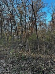 534 Elvins Dr, Bismarck, MO 63624
