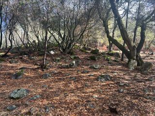 13639 Sun Forest Dr, Penn Valley, CA 95946