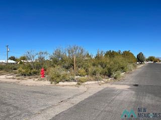 S  Santa Barbara St, Deming, NM 88030