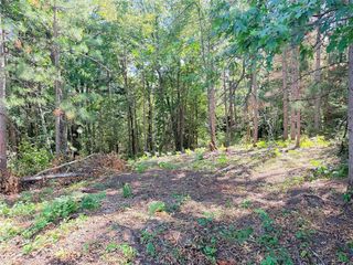 Lot 3 Boat Landing Road, Ladysmith, WI 54848