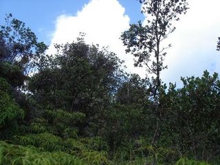 Road 5 #3756, Mountain View, HI 96771