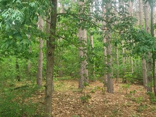 Evergreen East Dr #125, Waupaca, WI 54981