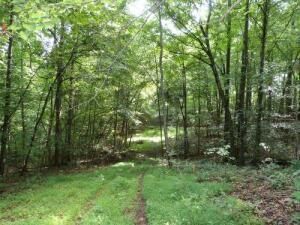 Tract 1 Green Stable Ln, Monticello, KY 42633