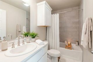 Staged Guest Bathroom 2.jpeg