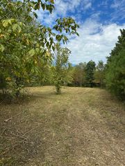 Eudailey Covington Rd, College Grove, TN 37046