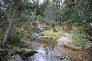 14XX Highway 20 E, Colville, WA 99114