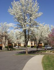 6855 S  Countrywoods Cir #A, Midvale, UT 84047