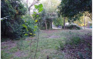 221 S  Price St, Hamilton, TX 76531