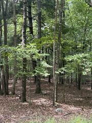 1.5 Liberty Hill Rd, Morganton, GA 30560