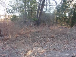 Briar Hl, Murchison, TX 75778