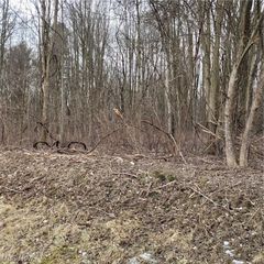 Sl 3 Fairmount Rd, Newbury, OH 44065