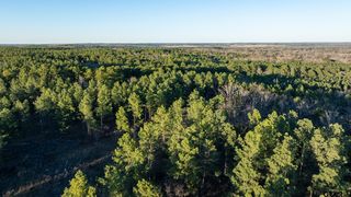 State Highway 64 #3, Ben Wheeler, TX 75754