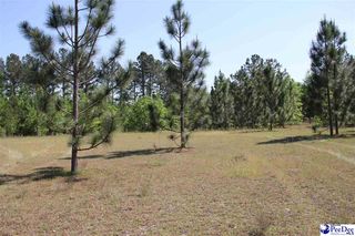 Patrick Hwy, Hartsville, SC 29550