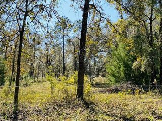  NW 57th Pl, Bell, FL 32619