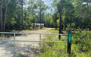 5807 NW 12th Ct, Bell, FL 32619